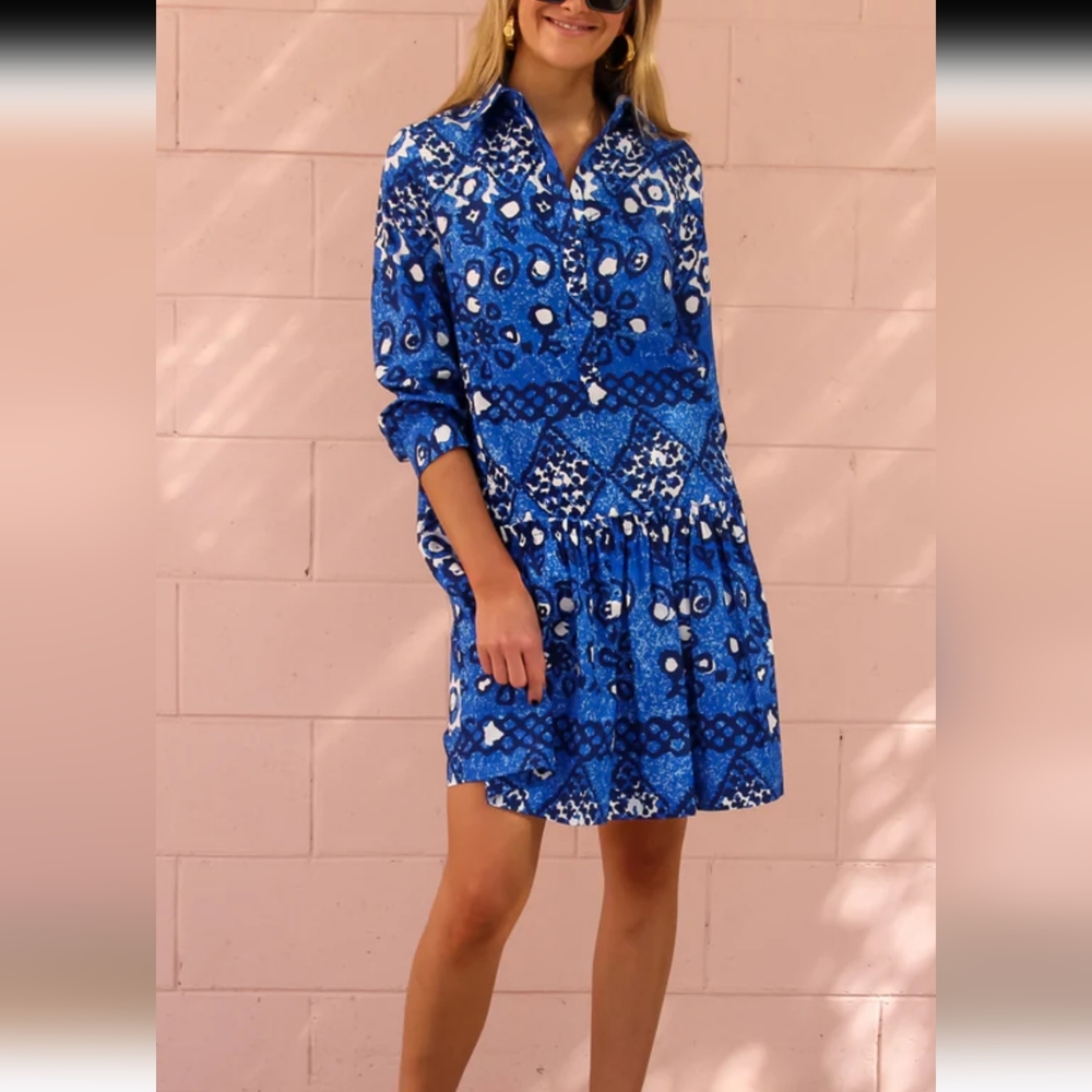 SALONI Dress || Size 4